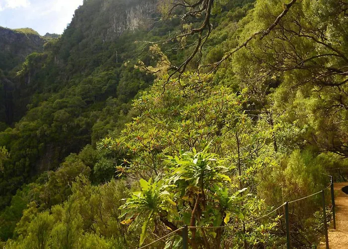 Sea View Flat In Casa Teixeira Calheta Madeira *