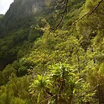 Sea View Flat In Casa Teixeira Calheta Madeira *
