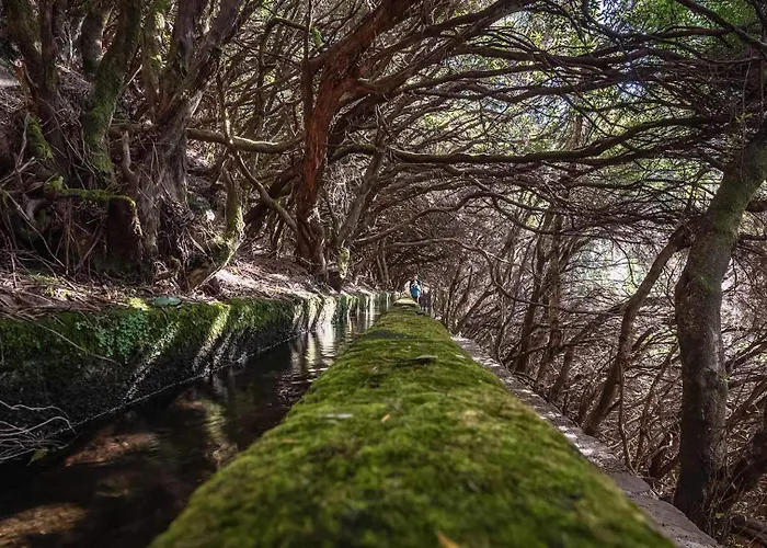 公寓 Sea View Flat In Casa Teixeira Calheta Madeira *