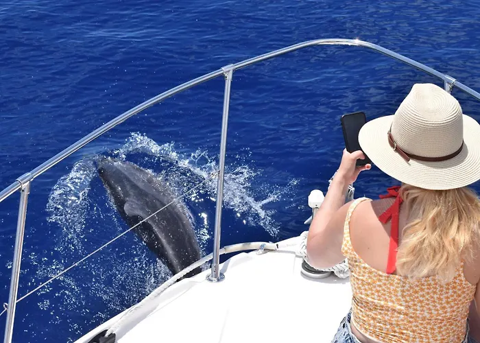 Sea View Flat In Casa Teixeira Calheta Madeira *